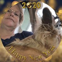 Shelly Echols's profile image