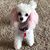 Donna Freeman's profile image