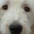 Tracey Boyd's profile image
