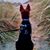 Rhonda Kay's profile image