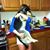 Rockie Reinach's profile image