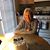 Catherine Ulrich's profile image