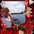 Linda Thompson's profile image