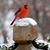 Peg Vickers's profile image