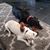 Linda Gunther Teeter's profile image