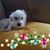 Pat Moore's profile image
