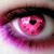 Donna Lynn Goretcki Sullivan's profile image