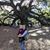 Stacie Justus's profile image