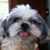 Renee Gilliam's profile image