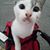 Jim Clemente's profile image