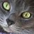 Charlene Howard's profile image