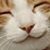 Nina Carder's profile image