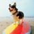 Real Pets's profile image