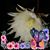 Lidia Uribe's profile image