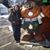 Susi Daugherty's profile image
