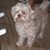 Suzanne Finley Ulmer's profile image