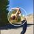 Riley Forest's profile image