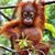 Allen Albright's profile image
