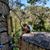 JoAnn Pruden's profile image