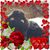 Ashley Aley's profile image