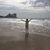 Emi Rodriguez Fernandez's profile image