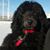 Jim Crawford's profile image