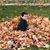Bridget Murphy Majchrzak's profile image