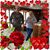 Lyn Ostrom's profile image