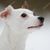 Brenna Colley's profile image