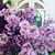 Pamela Lee Foos's profile image