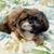 Helen Sislo Bonner's profile image