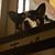 Chris Soule's profile image