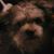 Mike Gruver's profile image