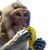 Bob Richey's profile image