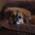 Kathi Rupright's profile image