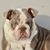 Christopher Forbes's profile image