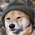 Daniel Svanberg's profile image