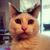 Steve Molokken Ted Aguirre's profile image