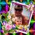 Chip Domiano's profile image