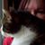 Helaine Collock's profile image