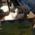 Janelle DePuydt's profile image