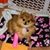 Melissa Self Meloy's profile image