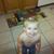 John Miceli's profile image