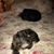 Kathy Noble Randolph's profile image