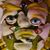 Brian Ciupka's profile image