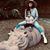 Jessica Rubano's profile image