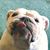 Randall C Chunn's profile image