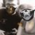 Katelyn BreAnna Condra's profile image