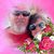 Dave Root's profile image
