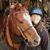 Kim Carter Teich's profile image
